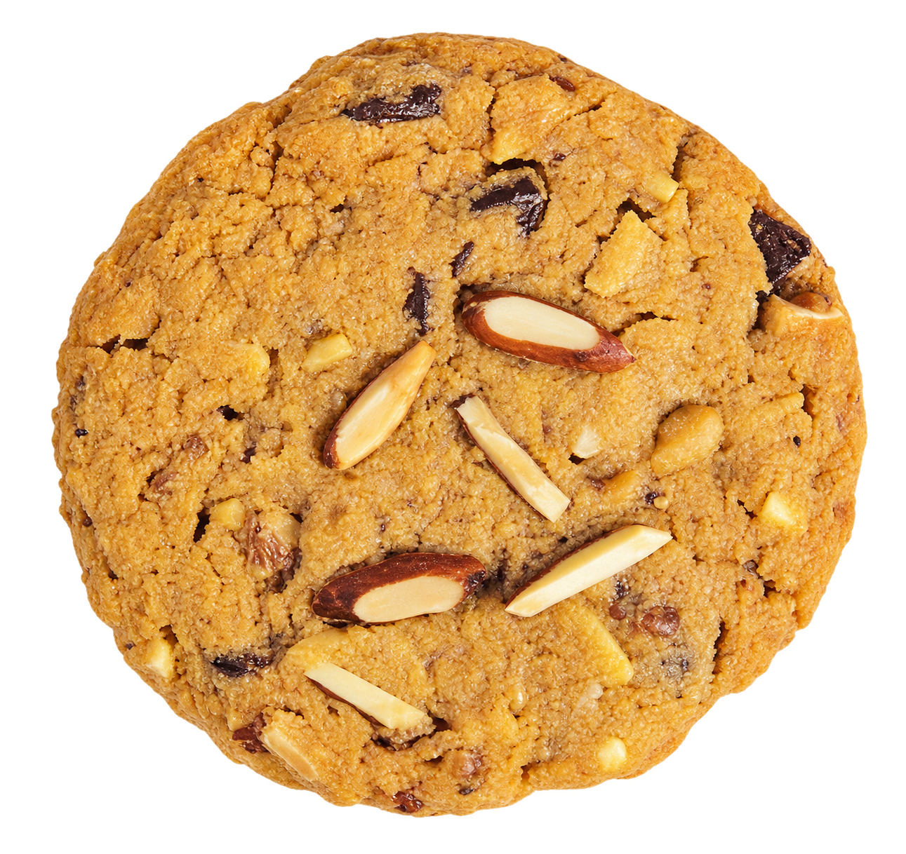 Dark Chocolate Almond Protein Cookie