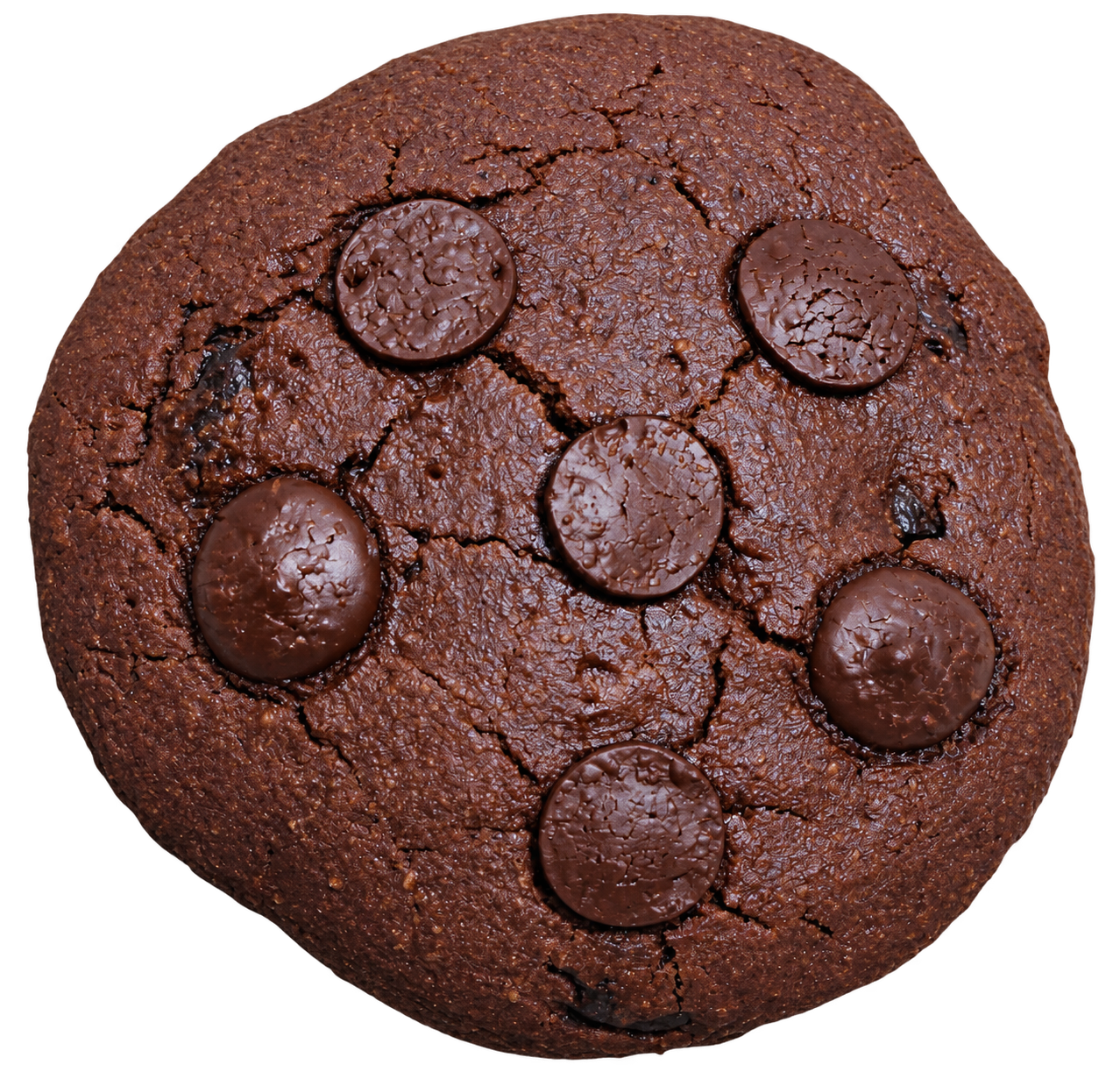 Double Chocolate Protein Cookie
