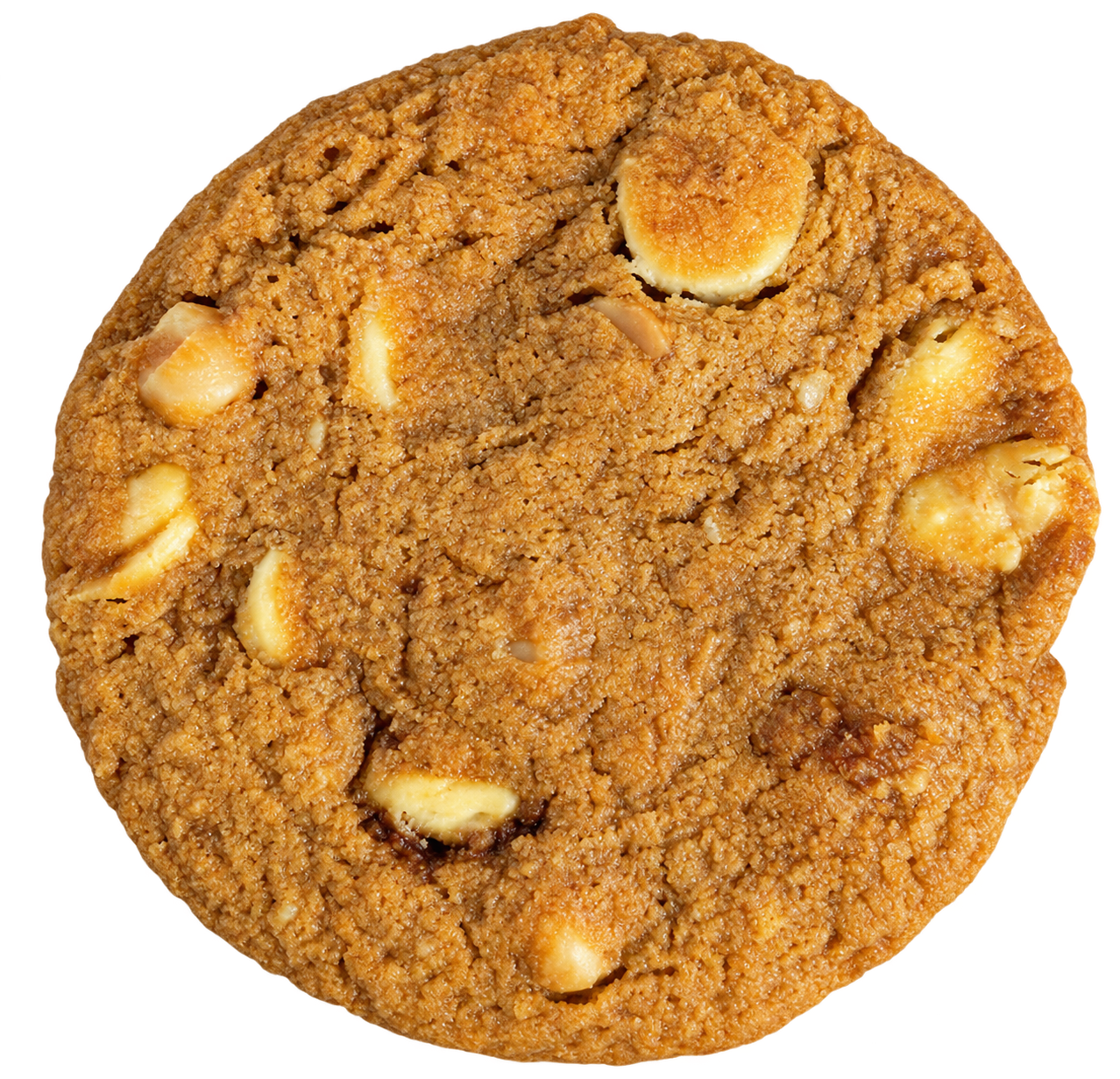 White Chocolate Macadamia Protein Cookie